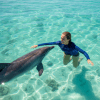 Swimming with dolphins in a lifeshirt pfd
